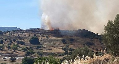 Foça'da maki ve zeytinlik yangını