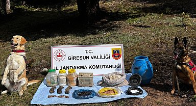 Giresun'da terör örgütünün kullandığı sığınak kullanılmaz hale getirildi