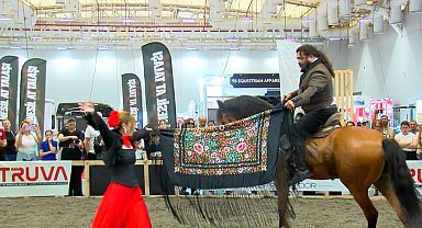 İstanbul - Atlar güzellik yarışmasında boy gösterdi; kalp krizi geçiren at öldü