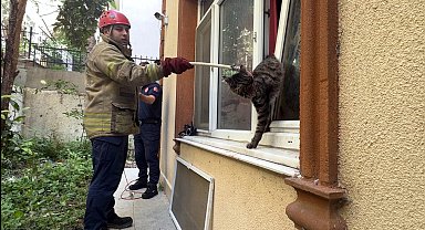İstanbul - Avcılar'da pencerede sıkışan kediyi itfaiye kurtardı