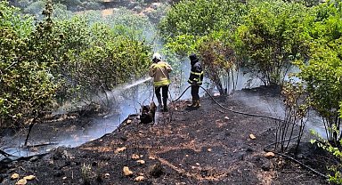 Mardin'de bahçede çıkan yangın ormana sıçradı