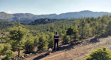 Muğla'da ormanlara giriş yasaklandı