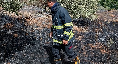 Nusaybin'de bahçede çıkan yangın, ormana sıçradı