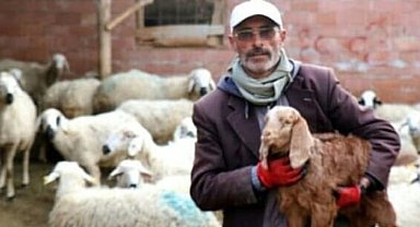 Seçimi kaybeden muhtar adayı çoban dolandırıldı; yine şiirle sitem etti