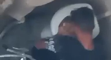 Tavuğa cinsel istismar şüphelisi tutuklandı