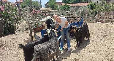 Tilki öldürdüğünü ihbar eden komşuya darp iddiası