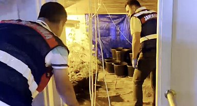 Yazlık evin çatısını iklimlendirme sistemli uyuşturucu imalathanesine çevirmiş