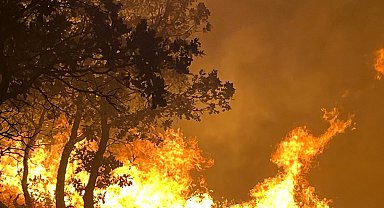 Adıyaman'da yangın