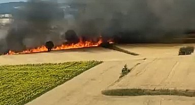Akıma kapılan kuşlardan kaynaklandığı değerlendirilen yangında ekili 80 dönüm buğday yandı