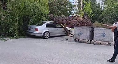 Ankara'da kuvvetli rüzgar; ağaç devrildi, 4 araç hasar gördü