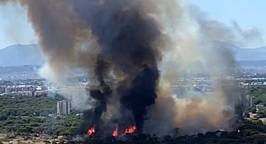 Antalya'da orman yangını