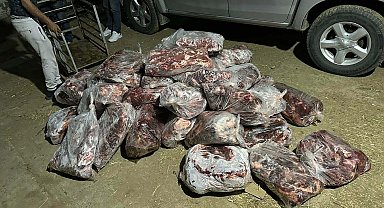 Aydın'da 1 ton kesilmiş domuz eti ele geçirildi