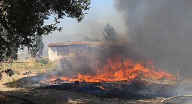 Ayvalık'ta çöplükte çıkıp otluk ve zeytinliğe sıçrayan yangın, 4 saatte söndürüldü