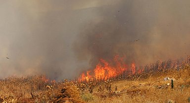 Balıkesir'de sazlık yangını; 10 hektar alan zarar gördü