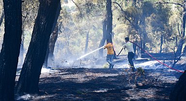 Balıkesir'deki orman yangını, 13 saatte kontrol altına alındı