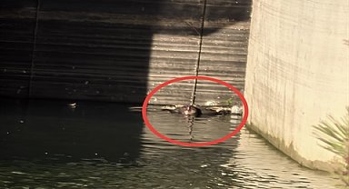 Barajda cansız bedeni bulunan 2 çocuk babası toprağa verildi