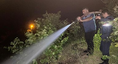 Bartın'da rüzgarın kopardığı elektrik telleri ormanda yangın çıkardı