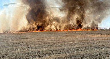 Batman'da 20 dönümlük alandaki anız yangını söndürüldü