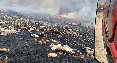Biçerdöver alev aldı, çıkan yangında bin dönüm ekili alan ve ağaçlar zarar gördü