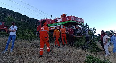 Bingöl'deki orman yangını söndürüldü