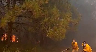 Bursa'da anız yangını, BUÜ kampüsünün de içinde olduğu ormana sıçradı