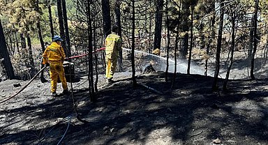 Bursa'da çıkan orman yangını 1 saatte söndürüldü