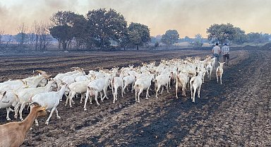 Çanakkale'de yangın