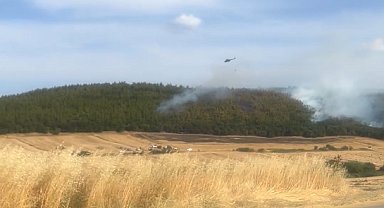 Edirne Keşan'da orman yangını