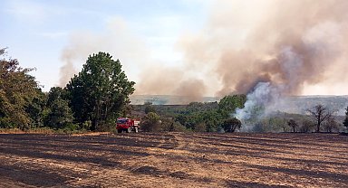 Edirne'de 215 dekar tarım arazisi ve orman zarar gördü