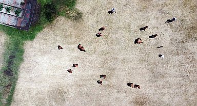 Edirneli pehlivarlar, Kırkpınar'a 35 derece sıcak altında hazırlanıyor