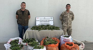 Hakkari soğanlarını İran'a kaçırmak isteyen 3 kişiye 1 milyon 161 bin TL ceza