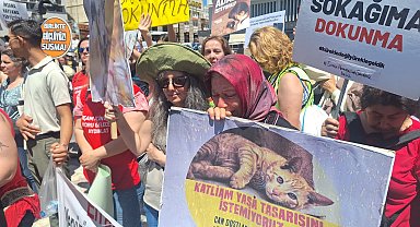 Hayvanseverlerden 'yasal düzenleme' tepkisi