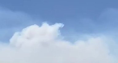 İzmir'de orman yangını