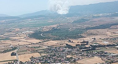 İzmir'de orman yangını