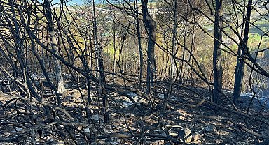 İzmir'deki yangında yanan alanlar, havadan görüntülendi
