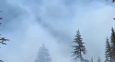 Karaman Ermenek'te orman yangını