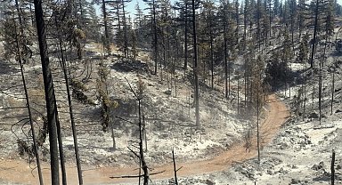 Karaman'daki orman yangını kontrol altına alındı