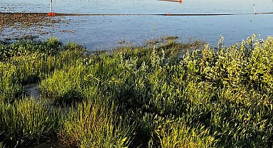 Kayseri'de dolu, tarım alanlarına zarar verdi