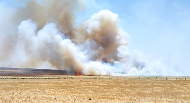 Mardin'in 5 ilçesinde anız ve örtü yangınları