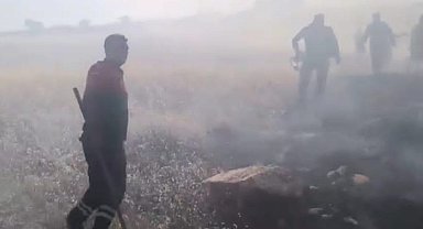 Mardin'in 5 ilçesinde anız ve örtü yangınları
