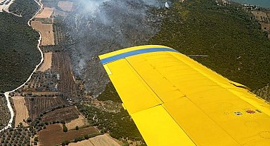 Muğla'da orman yangını