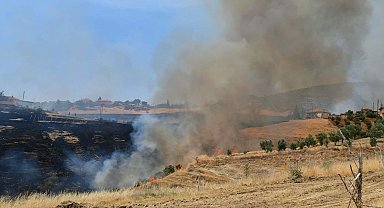 Ot yangını ormana sıçradı; alevlerin arasında kalan köpek yaralandı