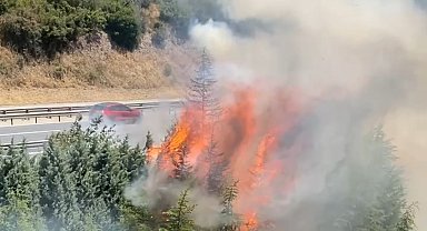Otoyol kenarındaki ağaçlar yandı; trafik kısa süre durdu