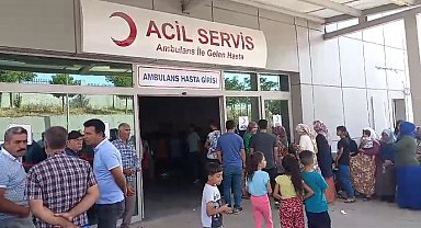 Şanlıurfa'da arazi kavgası: 12 yaralı