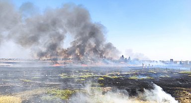 Suriye sınırında, mayınlı bölgede çıkan ot yangını söndürüldü
