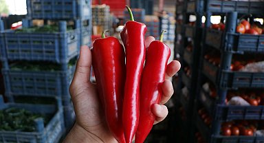 Tarlada kilosu 15, halde 20 lira olan kapya biber, markette 80 lira