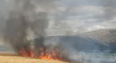 Tokat'ta ekili 10 dönüm buğday yandı