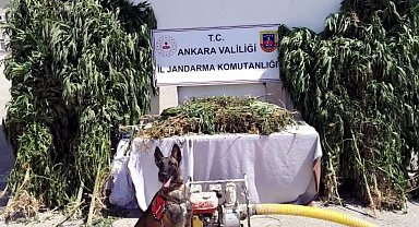 12 ilde 'Narkoçelik-26' operasyonları: 57 gözaltı