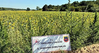 16 ildeki 'Narkoçelik-28' operasyonlarında, 40 şüpheli tutuklandı