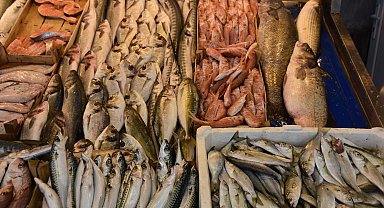 'Balıklar beslenemediği için yeterli boyuta ulaşmıyor'